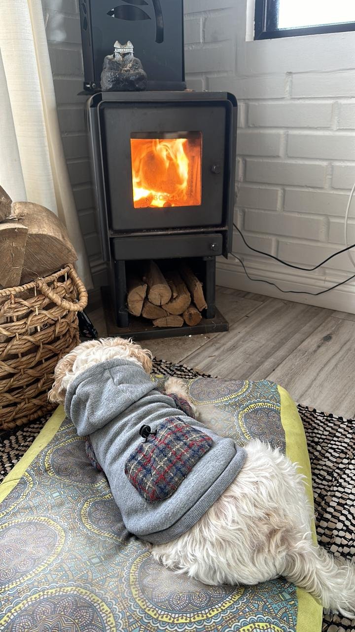 Akiles contemplando el paisaje